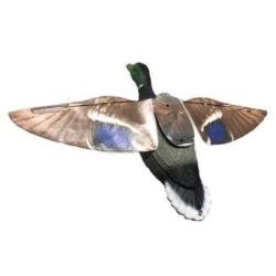 DC 25 ! Colvert step-flap Stepland