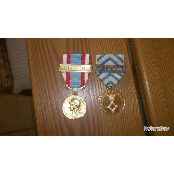 deux superbes medailles algerie/afrique du nord