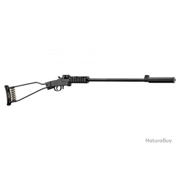Pack Carabine 22lr Chiappa Little Badger + Silencieux