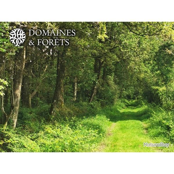 Parcelle de brandes 9,5 hectares dans la Vienne (86)