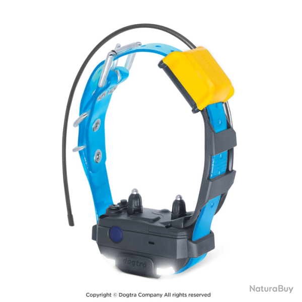 Collier suppl�mentaire Dogtra Pathfinder Mini V2 - Bleu