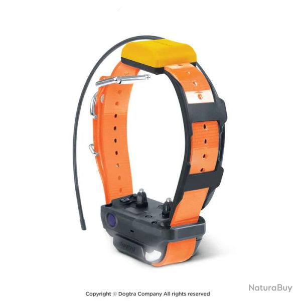 Collier suppl�mentaire Dogtra Pathfinder V2 - Orange