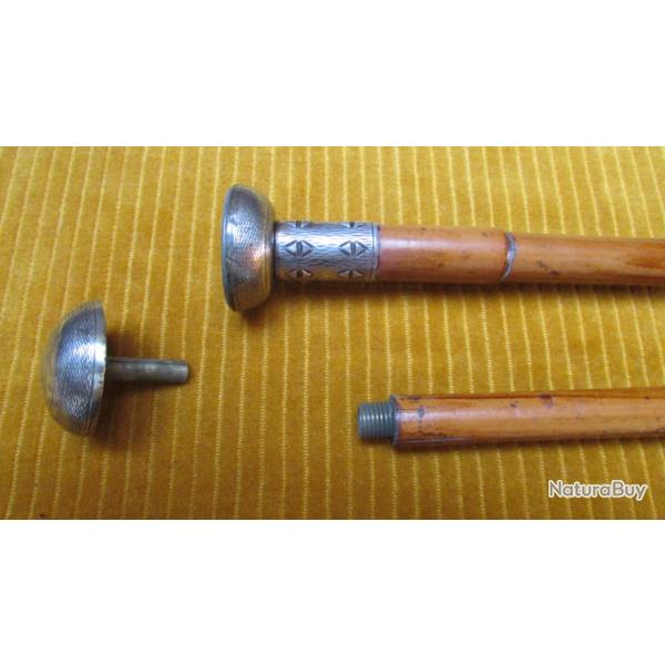 Raret� Canne fusil sarbacane 19�me