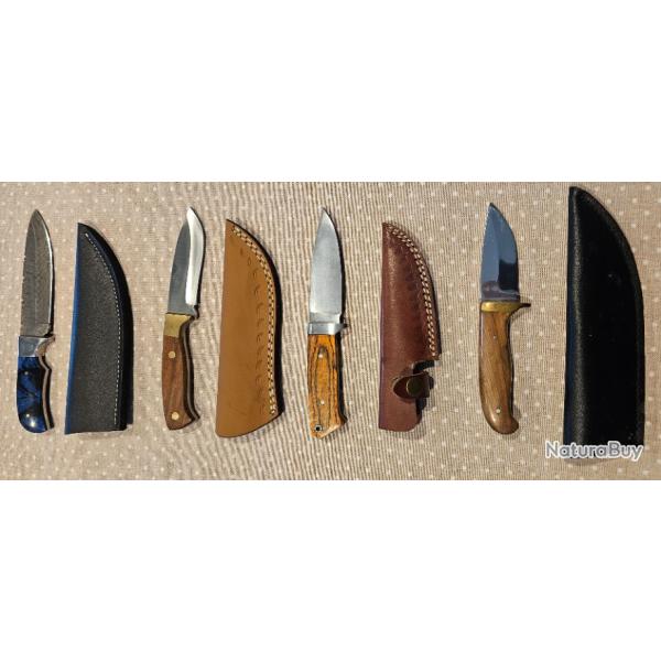Collection de couteaux droits