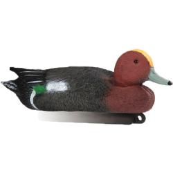 Forme de canard siffleur male Stepland