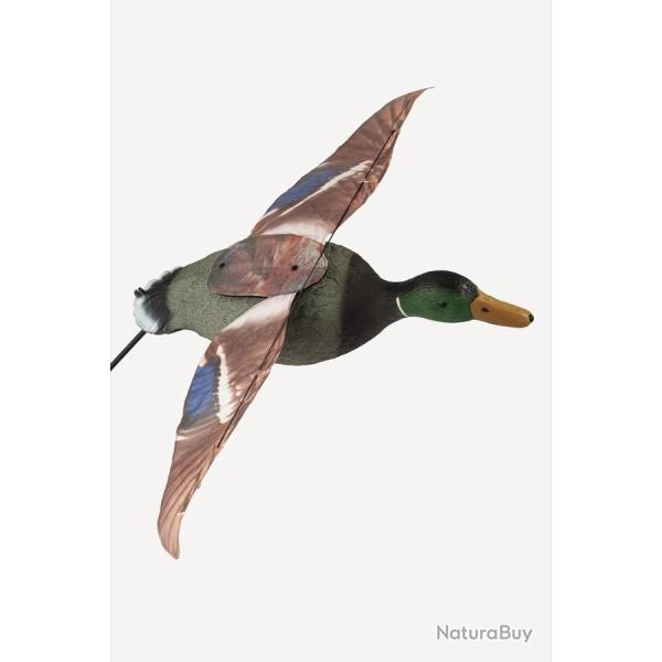 Forme de colvert male step-flap Stepland