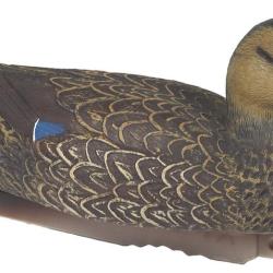 Forme de canard colvert femelle HD Stepland