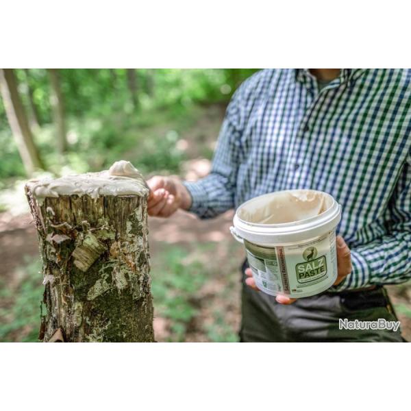 P�te de sel - Seau de 2 kg - Anis