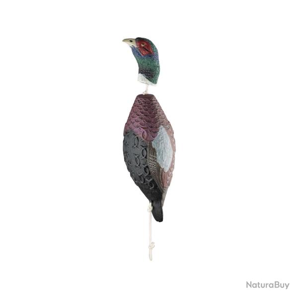 HP&G Apportable - Faisan