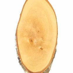 Plaque pour troph&eacute;e en bouleau 20 x 12 cm