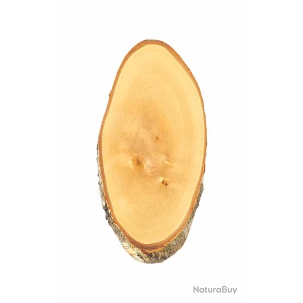 Plaque pour troph�e en bouleau 39 x 20 cm