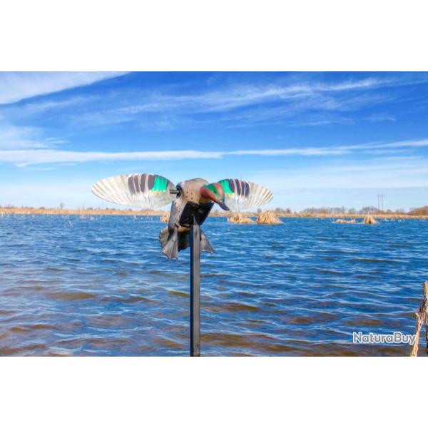 Sarcelle � ailes tournantes Mojo Elite Series