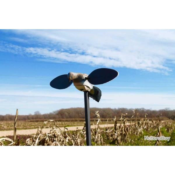 Tourterelle � ailes tournantes Mojo Elite Series