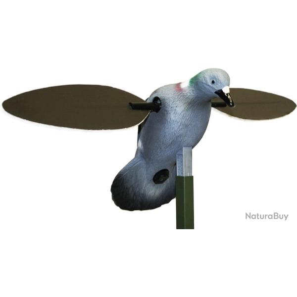 Pigeon � ailes tournantes Mojo