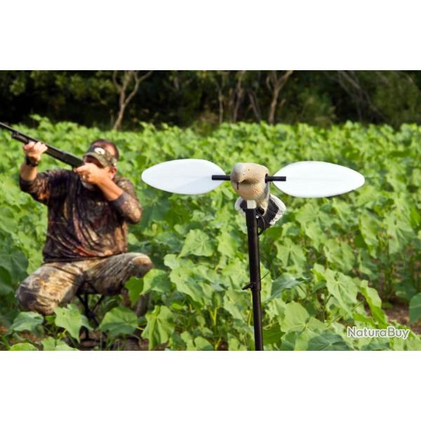 Tourterelle � ailes tournantes Mojo