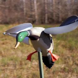 Colvert &agrave; ailes tournantes &agrave; vent Mojo