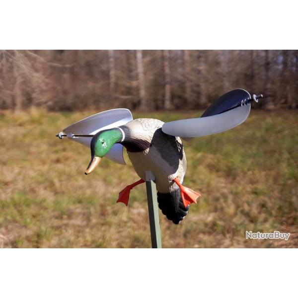 Colvert � ailes tournantes � vent Mojo