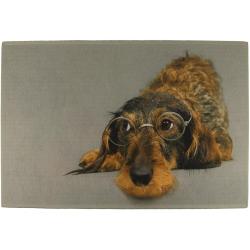 Tapis de sol int&eacute;rieur teckel &agrave; lunette