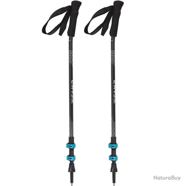 B�tons t�lescopiques Camp Backcountry Ergo