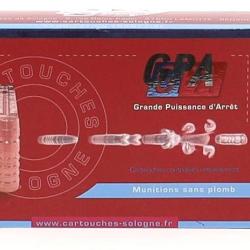 CARTOUCHES SOLOGNE GPA 300 WIN MAG 180 GR