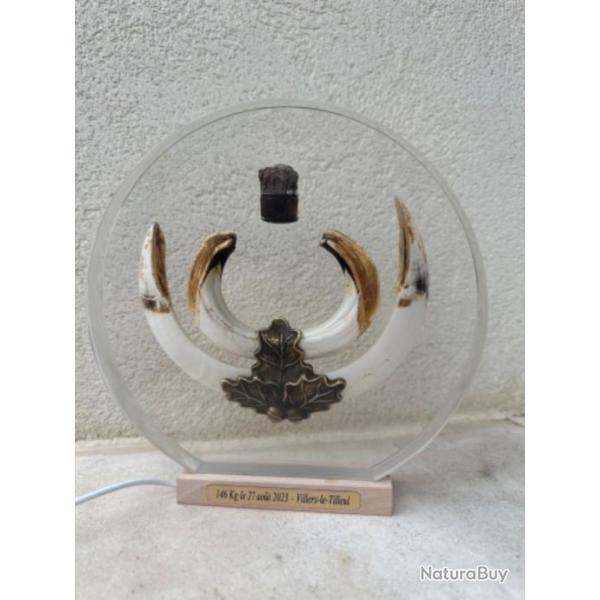 Troph�e de sanglier