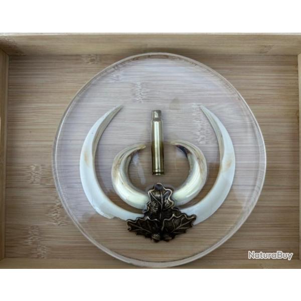 Troph�e de sanglier - phacoch�re