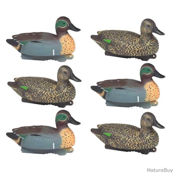 Formes de sarcelle HD Stepland x6 8280-defaultCombination