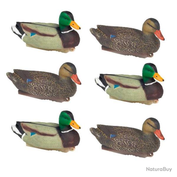 Formes de colvert HD Stepland x6 8281-defaultCombination