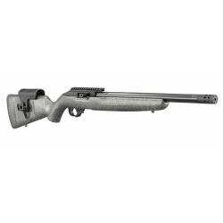 Carabine Ruger 10/22 comp&eacute;tition calibre 22 LR
