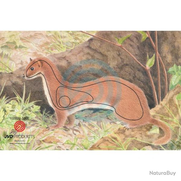 Blason Animalier tir  l'arc JVD Ermine