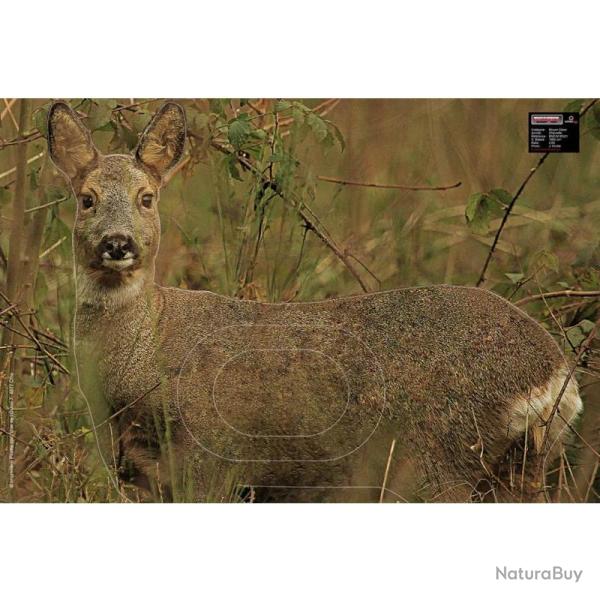 Blason Animalier tir  l'arc Maximal Medium Game 54X80 Female Roedeer Alert