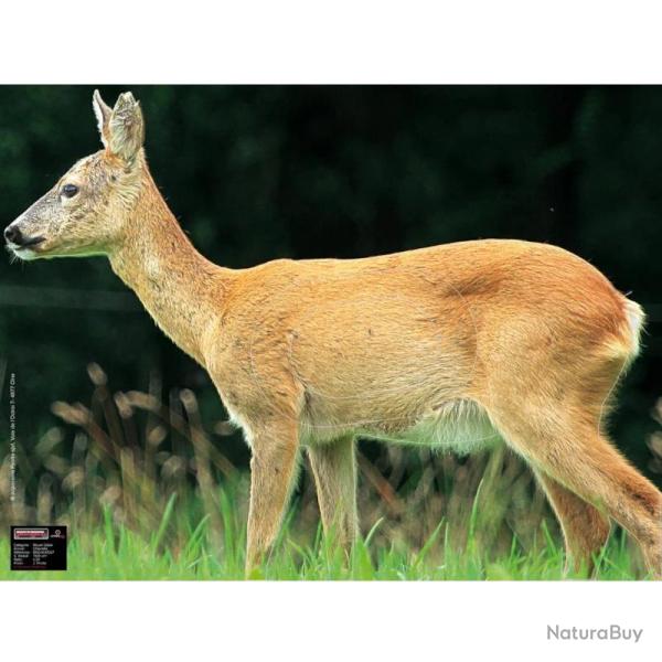 Blason Animalier tir  l'arc Maximal Medium Game 60X80 Roedeer