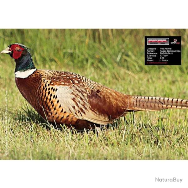 Blason Animalier tir  l'arc  Maximal Small Animals 25X35 Pheasant