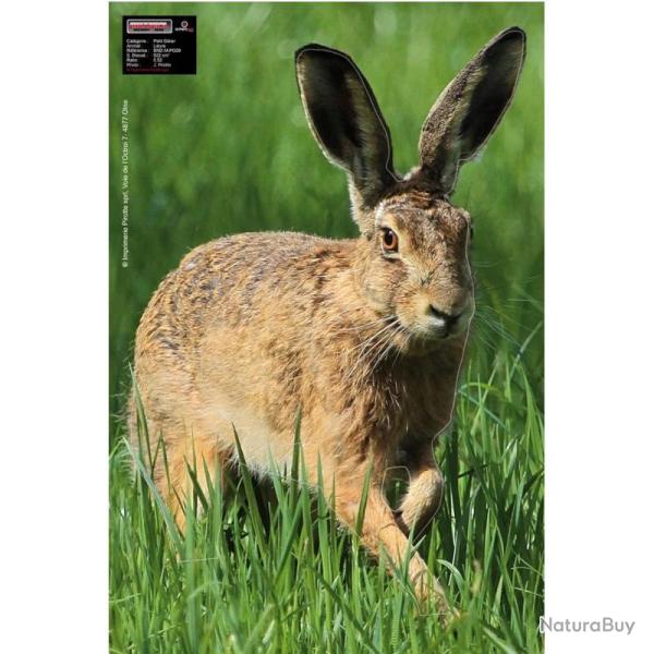 Blason Animalier tir � l'arc Maximal Small Game 40X60 Hare Alert