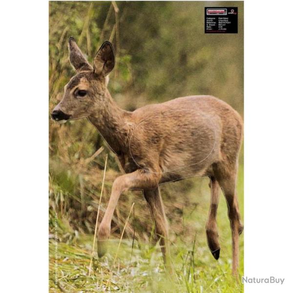 Blason Animalier tir � l'arc Maximal Small Game 40X60 Roedeer