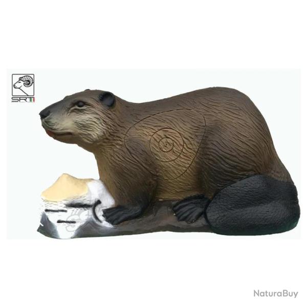 Cible 3D SRT Castor - Groupe 3