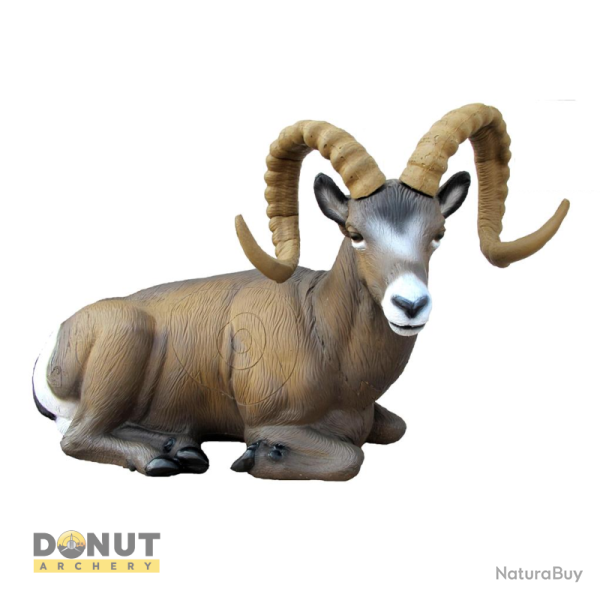Cible 3D SRT Mouflon des montages couch - Groupe 1