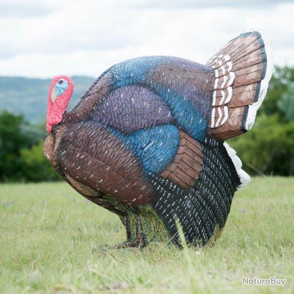 Cible 3D Wildcrete dindon