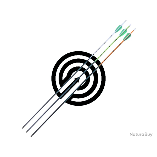 Fleches Carbone Shocq Inceptor - 900 / Vert