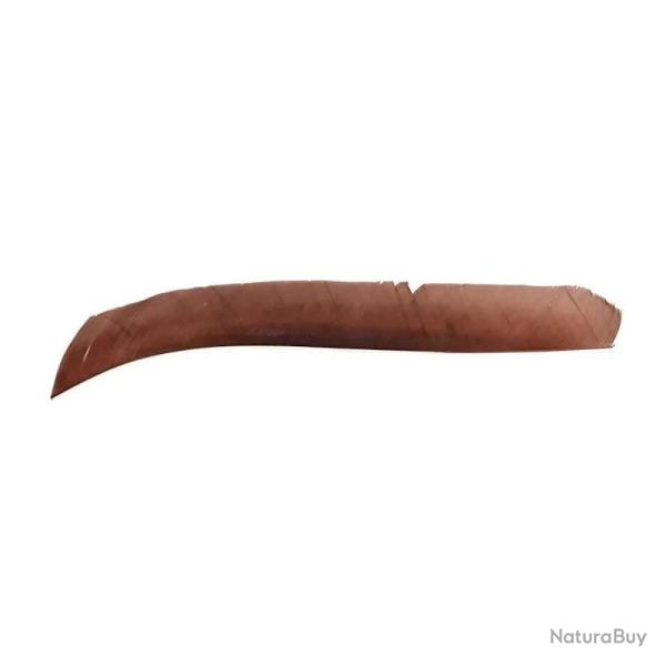Plume de fl�che Naturelle Gateway Entiere - Droite / 10 Pouces / Marron