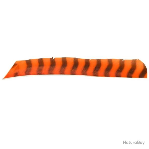 Plume de fl�che Naturelle Gateway Entiere - Droite / 10 Pouces / Orange tigre