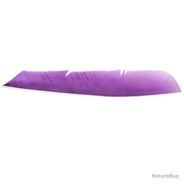 Plume de fl�che Naturelle Gateway Entiere - Droite / 10 Pouces / Violet