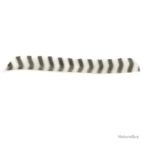 Plume de flche Naturelle Gateway Entiere - Gauche / 10 Pouces / Blanc tigre