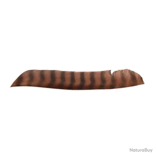 Plume de fl�che Naturelle Gateway Entiere - Gauche / 10 Pouces / Marron tigre