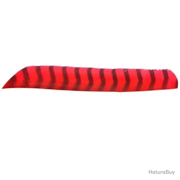 Plume de fl�che Naturelle Gateway Entiere - Gauche / 10 Pouces / Rouge tigre
