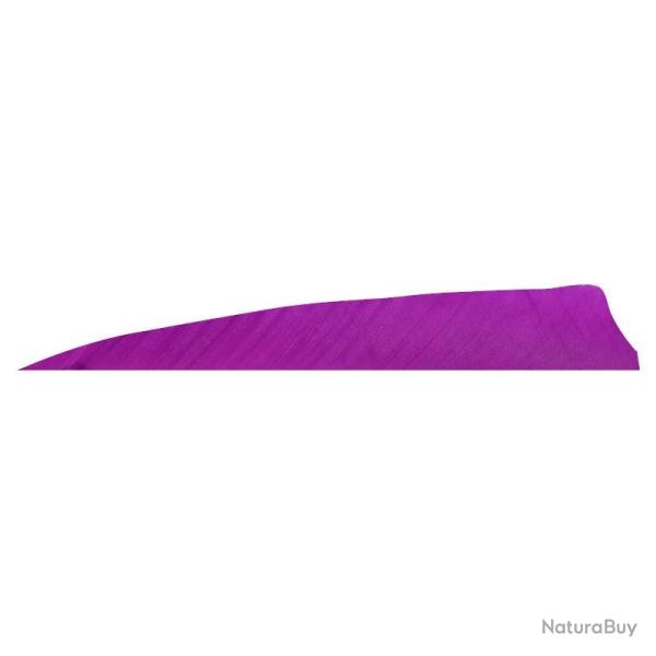 Plume de fl�che Naturelle Gateway Shield - 3 Pouces / Violet