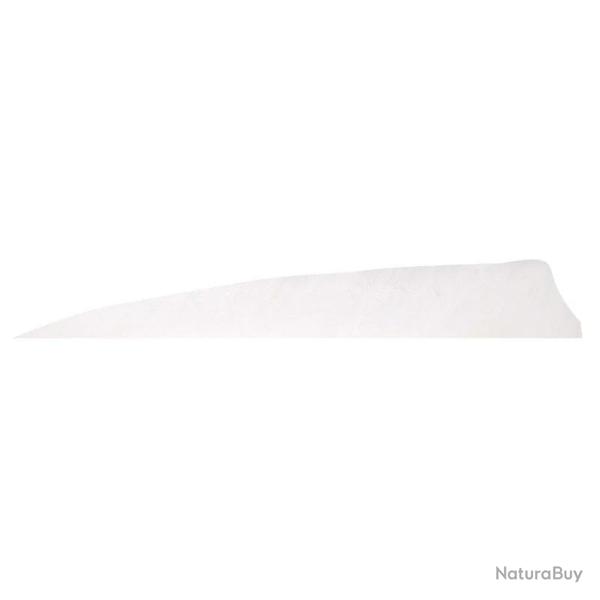 Plume de fl�che Naturelle Gateway Shield - 4 Pouces / Blanc