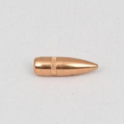 Ogives Cam Pro 223 55gr FMJ BT - lot de 500