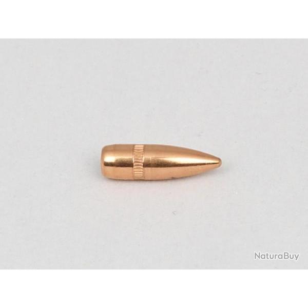 Ogives Cam Pro 223 55gr FMJ BT - lot de 500