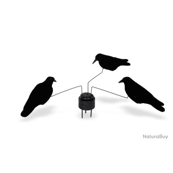 Man�ge �lectrique 3 Corbeaux